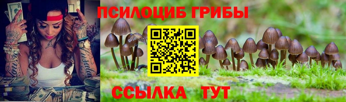 цены наркотик  Вход с VPN  Коряжма  Псилоцибиновые грибы мухоморы 
